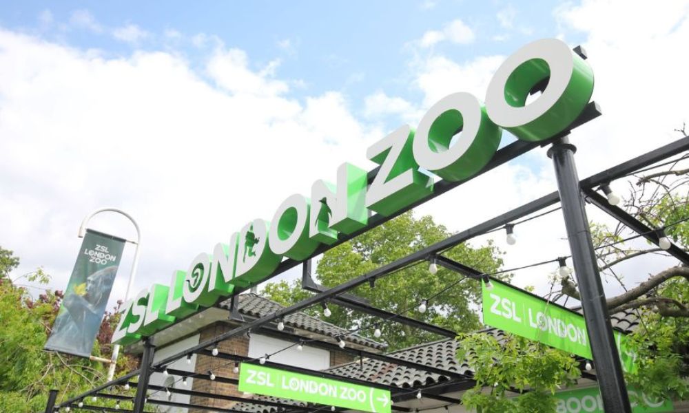 Entrance to London Zoo - one of the biggest family attractions in London.