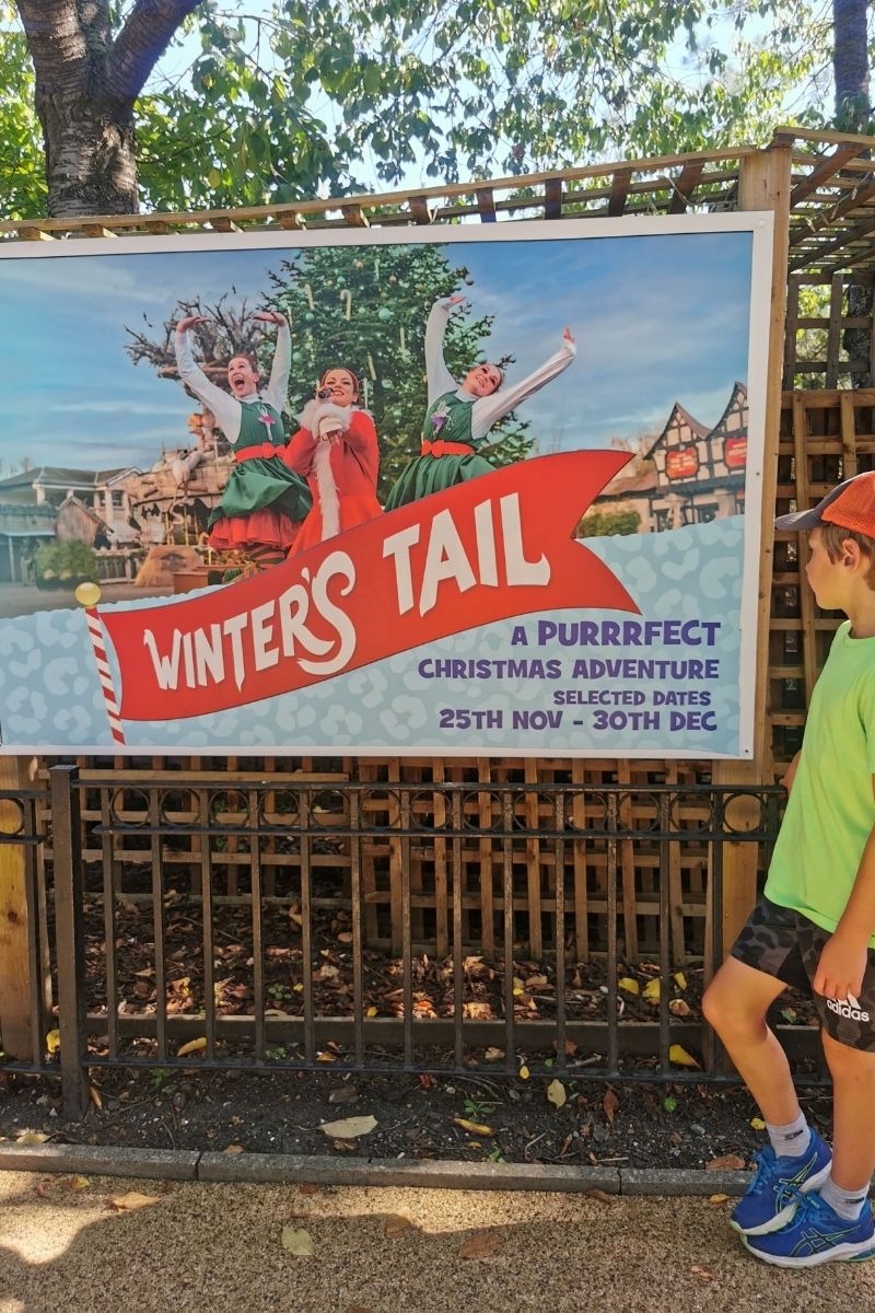 Boy looking at an advert for a Winter's Tail at Chessington World of Adventures.