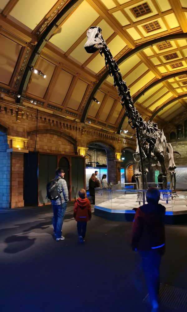 Dippy the Dinosaur on show at the Natural History Museum in London.