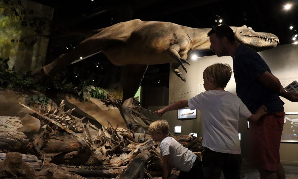 Family looking at dinosaur skeletons in a museum.