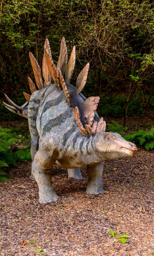 Image of a Stegosaurus in a woodland setting on a dinosaur trail.