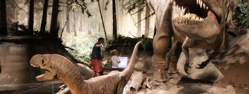 Lifelike scene showing a T-Rex chasing a velociraptor in a dinosaur museum.