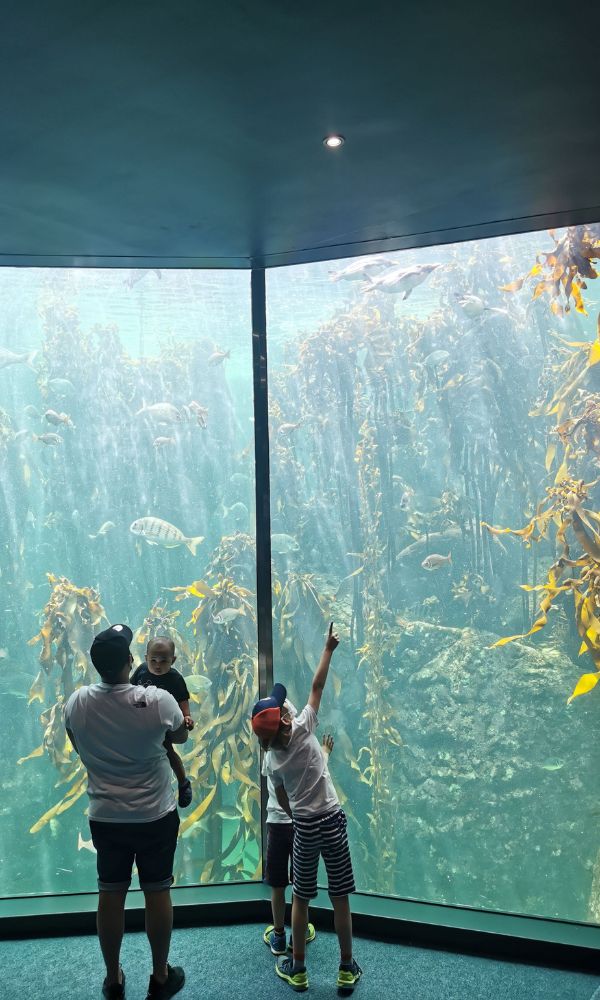 Kids looking at fish in an aquarium.